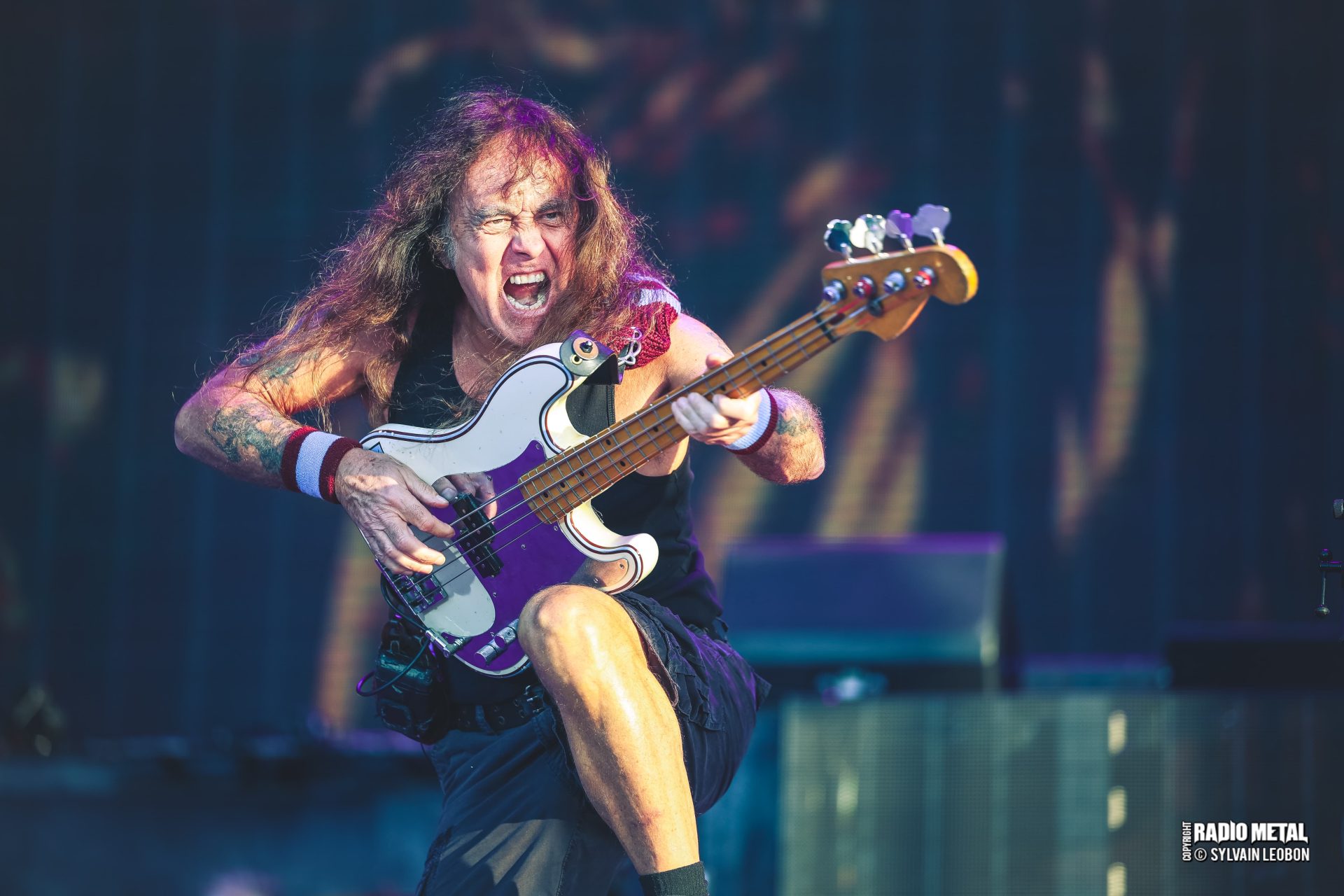 Numéro 37 : Édition Spéciale Iron Maiden + poster & goodies – Image 3